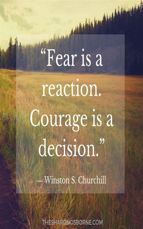 Quotes About Courage And Fear - ShortQuotes.cc