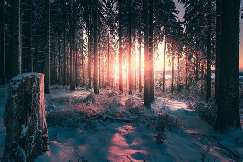 Winter sunset in German "Odenwald" (Siedelsbrunn) #mountains #nature #forest #travelphotography ...