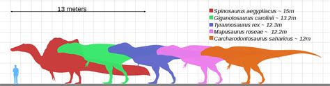 Giganotosaurus VS T. Rex: 3 Ways To See Who’ll Win