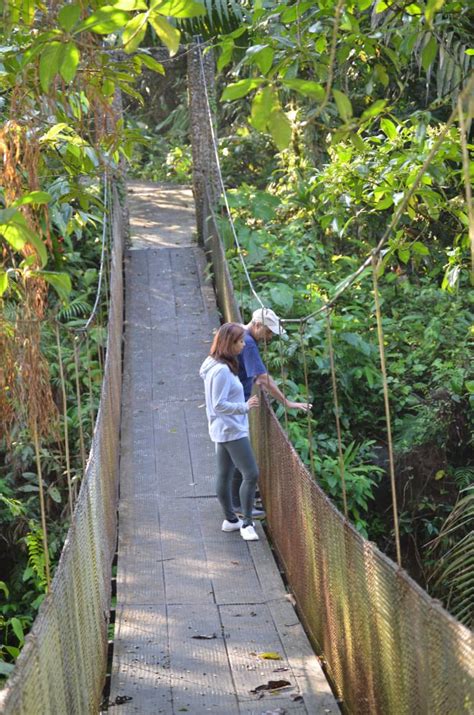 Costa Rica Rainforest Vacation Adventure Tour | Budget Adventure Travel ...