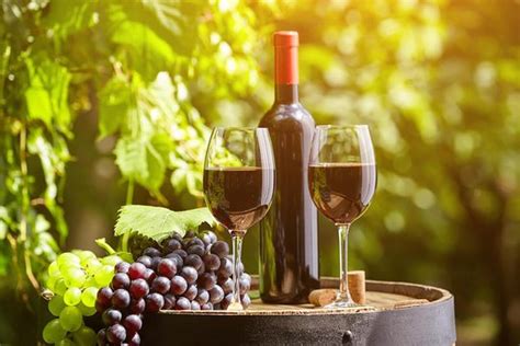Wine tasting tours | Best self-respecting resort city