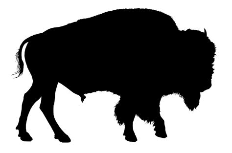 Bison PNG