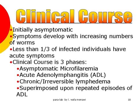 Wuchereria bancrofti and Brugia malayi are filarial nematodes