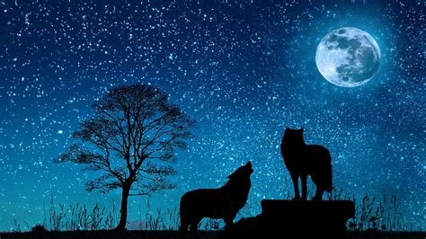 HD wallpaper: sky, dark, night, moon, moonlight, wolf, tree, roar ...