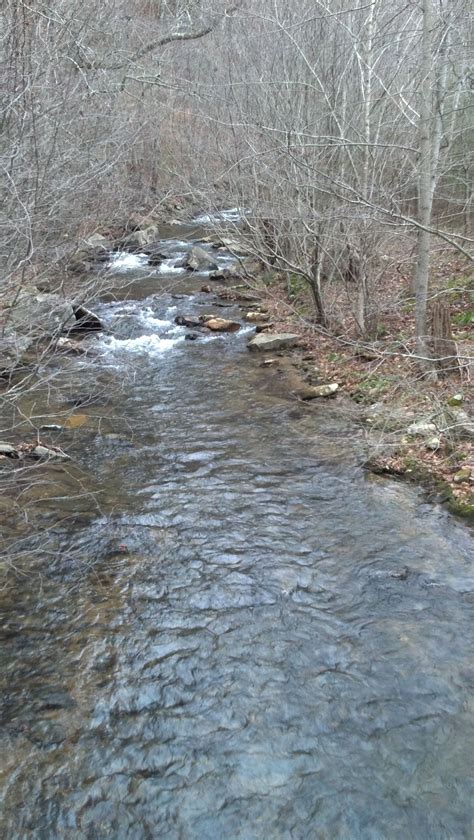 Turniptown creek in Ellijay, Georgia. Take a nurture walk along the creek. The rushing sound of ...