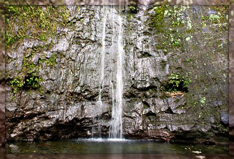 Hiking Manoa Falls
