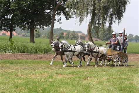 20140713-1213-43 | Horse and Carriage Driving Competition 20… | Flickr