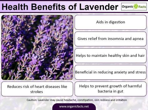 7 Impressive Benefits of Lavender | Lavender benefits, Improve heart health