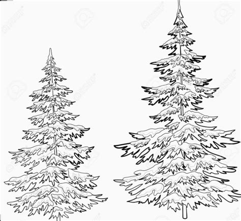 Realistic Christmas Tree Drawing Step By Step - EASY CUTE DRAWINGS