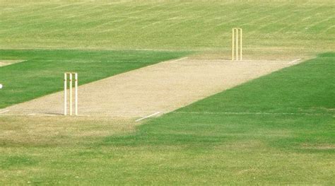 Different Types of Cricket Pitches and How to Read Them