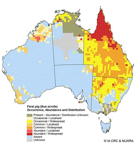 Occurrence, Abundance and Distribution of Feral Pig (Sus scrofa) in ...