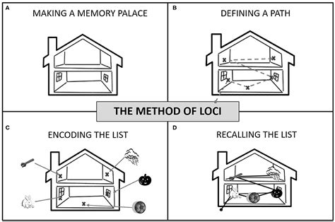 Frontiers | A Feasibility Study on the Use of the Method of Loci for Improving Episodic Memory ...