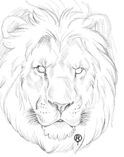 Pin by inkk_by_Gee on Dude tatts | Lion sketch, Art drawings sketches ...