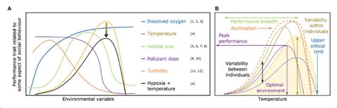 | (A) Performance curve shape is heavily dependent on the environmental... | Download Scientific ...