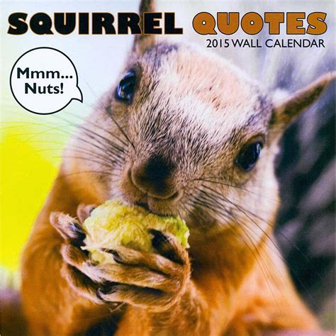 Squirrel Quotes And Sayings. QuotesGram