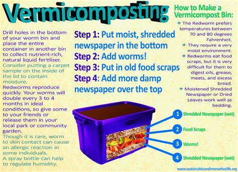 Vermicompost bin ~ Wooden cat house plan