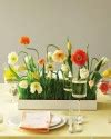 30 Floral Table Decorations and Centerpieces, Table Decor with Red Poppies