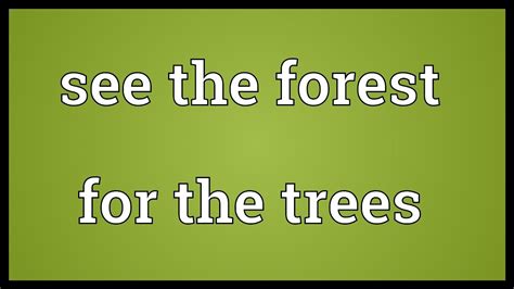 See the forest for the trees Meaning - YouTube