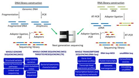 Genomics – CNR – ITB