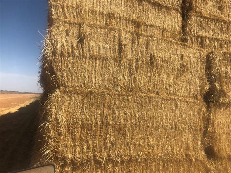 Barley Straw 8x4x3 Bales | Hay & Fodder - Straw For Sale