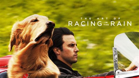 The Art of Racing in the Rain Movie Review and Ratings by Kids