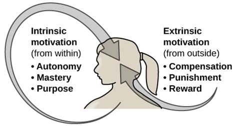 Motivation | Introduction to Psychology