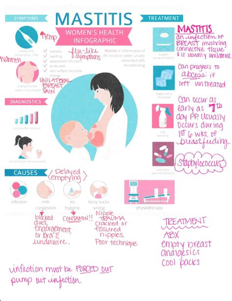 Mastitis nursing | Nursing school survival, Nursing school essential, Nursing school notes