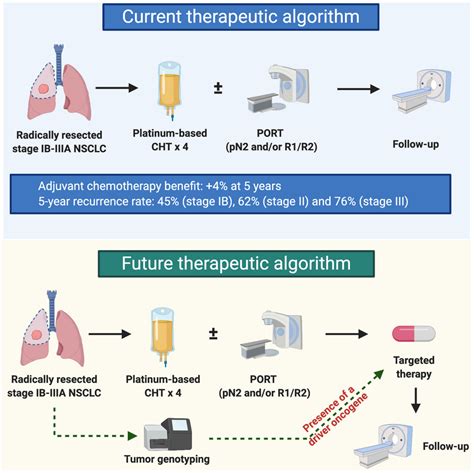 IJMS | Free Full-Text | Targeted Therapies in Early Stage NSCLC: Hype ...