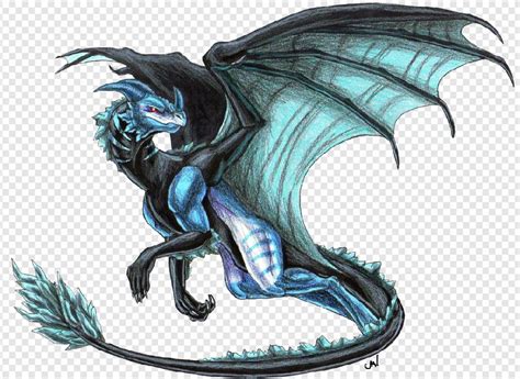 Dragon PNG Transparent Images Download - PNG Packs