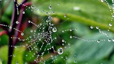 Drops Water Desktop Wallpaper Hd Full Screen Nature - 3d Wallpaper Full ...