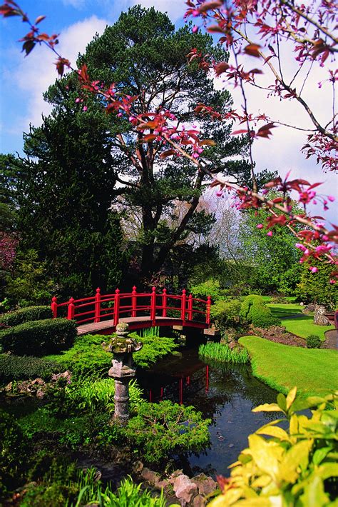 Irish National Stud & Gardens | Japanese garden, Irish garden, Beautiful japanese gardens