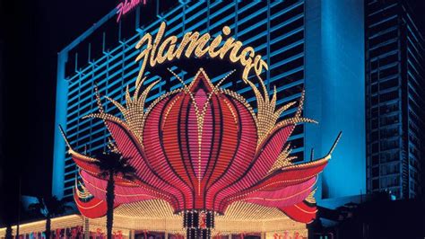 Flamingo Las Vegas | Las Vegas, NV