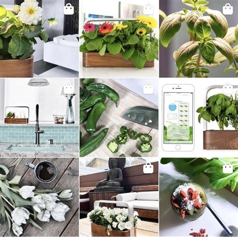 Smart Gardens – ēdn | Smart garden, Indoor garden, Hydroponic gardening