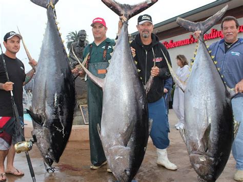 Yellowfin Tuna | FISHTRACK.COM