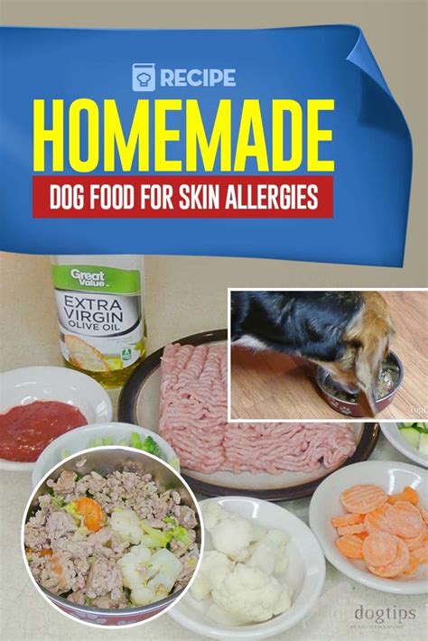 Homemade Dog Food Recipe for Skin Allergies