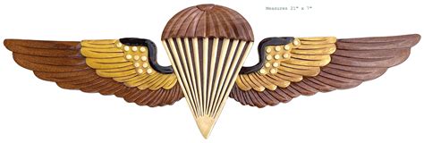 NAVY & MARINE CORPS Parachutist Insignia jump Wings - Etsy ...