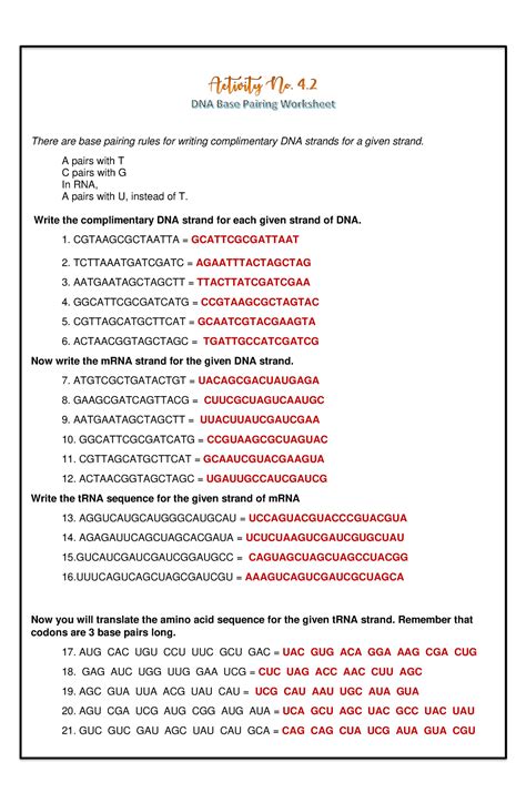 DNA Base Pairing Activity - There are base pairing rules for writing complimentary DNA strands ...