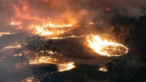 Effects from Australian bushfires felt all over as smoke lingers over ...