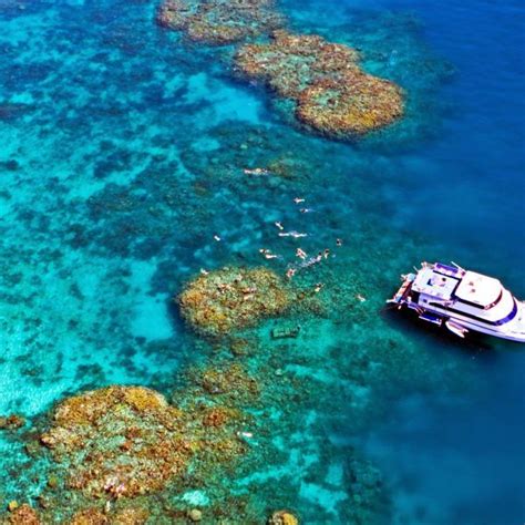 Great Barrier Reef - Cairns Dive Tours