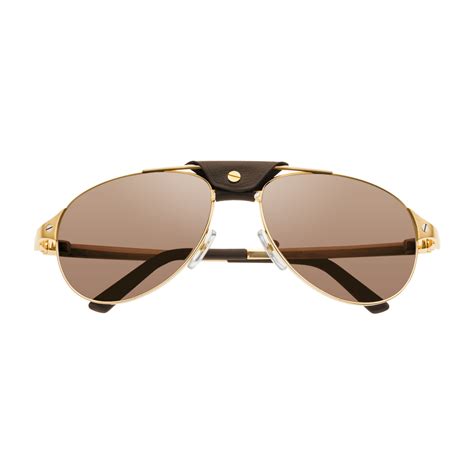 cartier sunglasses | Luxury gifts for women, Sunglasses, Luxe gifts