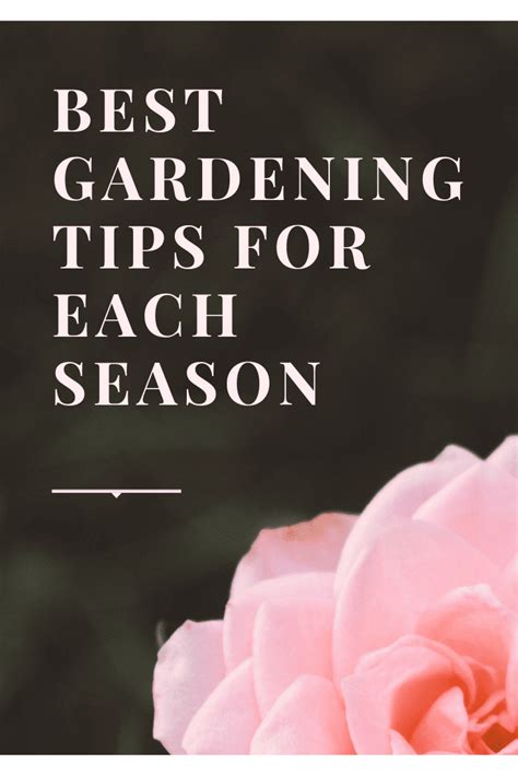 Best Gardening Tips For Each Season | Emma and 3