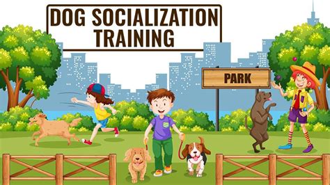 Dog Socialization Training - How To Socialize A Puppy? - Petmoo