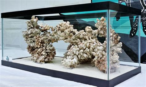 Aquarium Soil, Coral Reef Aquarium, Saltwater Aquarium Fish, Aquarium Rocks, Aquarium Landscape ...