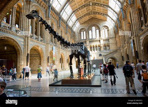 Diplodocus skeleton in the main central hall of the Natural History Museum with people visiting ...