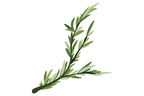 Sprig of Fresh Rosemary SVG Cut file by Creative Fabrica Crafts · Creative Fabrica