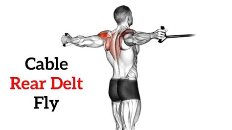 Rear Delt Cable Fly: How To Do, Muscles Worked, Tips