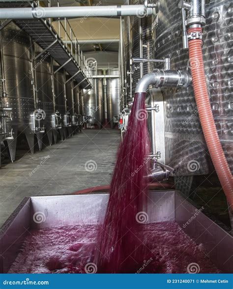 Winery Producing Wine, Grape Ju in Tank. Wine Fermentation Tanks. Wine Fermentation Process Red ...