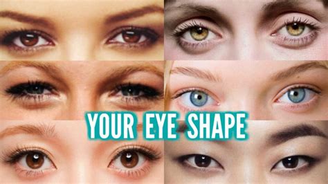 How to Determine Your Eye Shape — Radiant Image