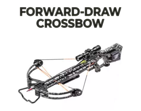 Understanding the Different Types of Crossbows – Hunting Lot