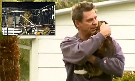 Brave cat saves its owner from burning home. Owners, Brave, Burns, Cats ...